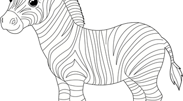 Printable Zebra Colouring Page | Free Colouring Book for Children