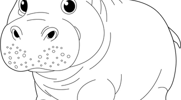 Printable Hippo Colouring Page | Free Colouring Book for Children