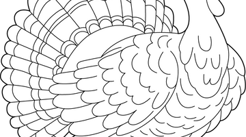 Turkey Bird Colouring Page | Free Colouring Book for Children