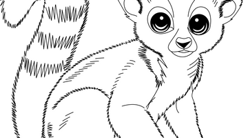 Lemur Colouring Page | Free Colouring Book for Children