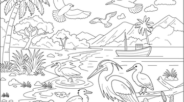 Birds and their Natural Habitat Colouring Page | Free Colouring Book for Children