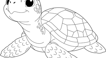 Turtle Colouring Page for Children | Free Colouring Book for Children