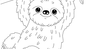 Sloth Colouring Page for Children| Free Colouring Book for Children