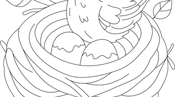 Bird Nest Colouring Page for Children | Free Colouring Book for Children