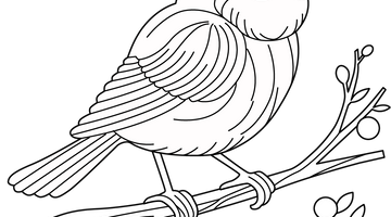 Blue Bird Colouring Page | Free Colouring Book for Children