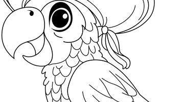 Pirate Parrot Colouring Page | Free Colouring Book for Children