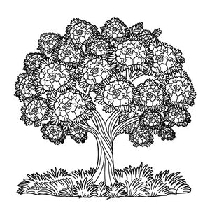 Gulmohar Tree Colouring Page