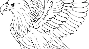 Printable Eagle Colouring Page | Free Colouring Book for Children