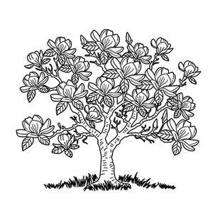 Magnolia Tree Colouring Page