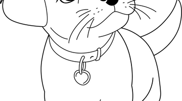 Adorable Puppy Colouring Page | Free Colouring Book for Children