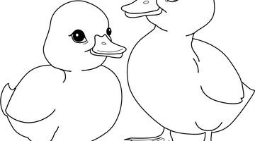 Cute Ducklings Colouring Page | Free Colouring Book for Children