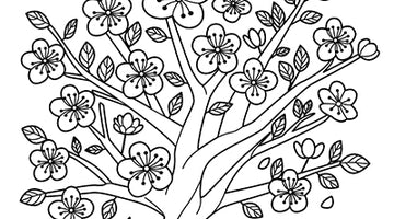 Cherry Blossoms Colouring Page