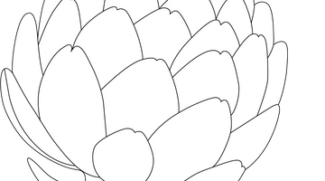 Printable Artichoke Colouring Page | Free Colouring Book for Children