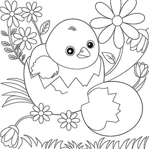  Chick Hatching an Egg Colouring Page