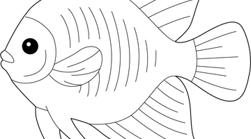 Angel Fish Colouring Page | Free Colouring Book for Children