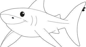 Printable Shark  Colouring Page | Free Colouring Book for Children