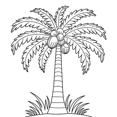 Coconut Tree Colouring Page | Free Colouring Book for Children – Monkey ...
