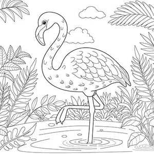  Flamingo in a Fern Garden Colouring Page 