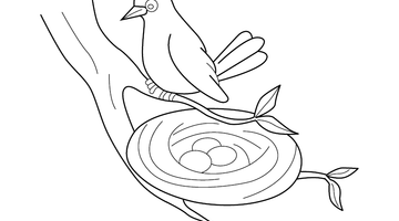 NEST COLOURING IMAGE | Free Colouring Book for Children