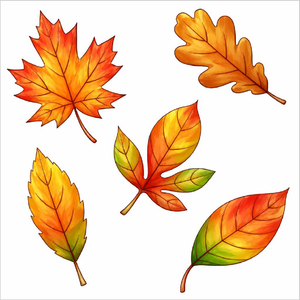 How to Draw Autumn Leaves – Easy Fall Leaf Drawing for Kids