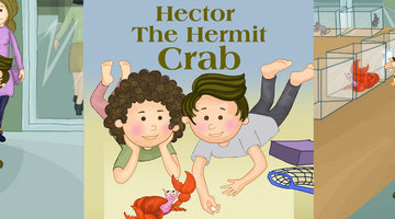 HECTOR THE HERMIT CRAB  | Free Children Book