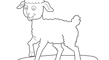 SHEEP COLOURING PAGE | Free Colouring Book for Children