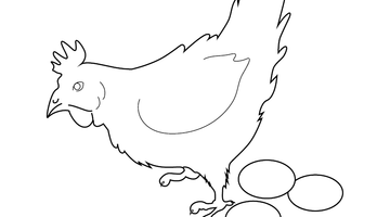 HEN COLOURING SHEET | Free Colouring Book for Children