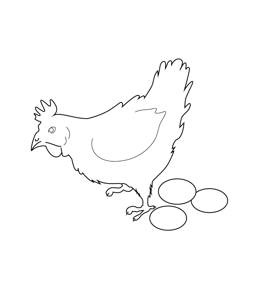 Coloured Drawing Hen Looking Chicken Hatching Stock Vector, 60% OFF