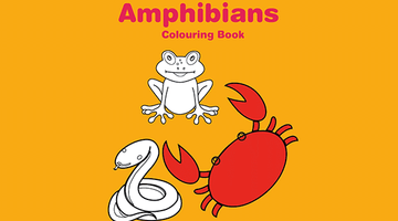 Free Printable Amphibians Colouring Book