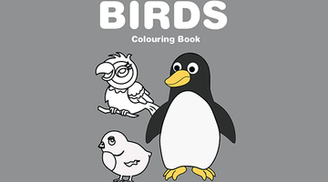 Free Printable Birds Colouring Book