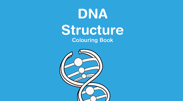 Free Printable DNA Structure Colouring Book