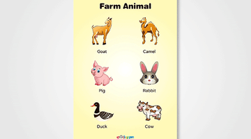 Farm Animal Educational Poster