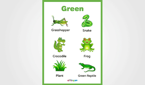 Free Printable Green Colour Object Poster for Kids