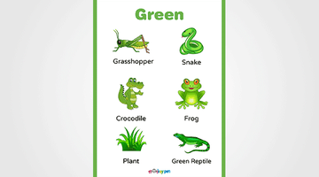 Free Printable Green Colour Object Poster for Kids