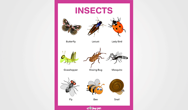 Insects, Free Full-Text