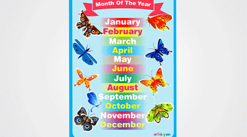 Month of the Year Chart for Kids