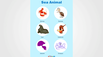 Free Printable Sea Animal Chart for Kids