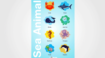 Sea Animal Chart for Kids