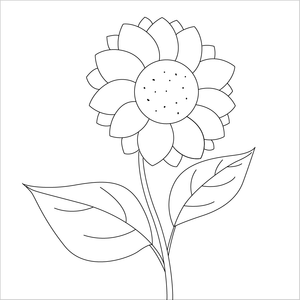 How to Draw a Sunflower – Easy Step-by-Step Tutorial