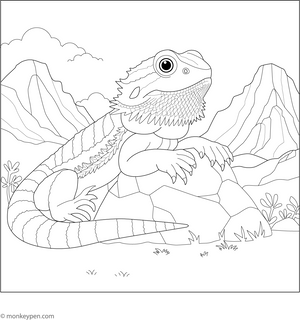 Bearded Dragon Relaxing on Rock Coloring Page