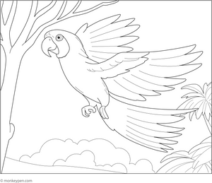 Macaw in Flight Coloring Page  – tropical bird printable for children