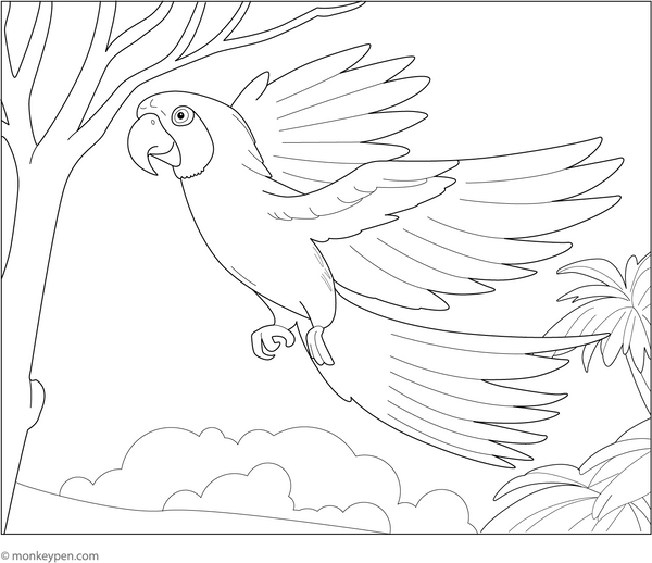 Macaw in Flight Coloring Page  – tropical bird printable for children