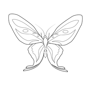 Butterfly  coloring page – fun and educational printable for children