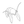 Aquatic Animals Coloring Book