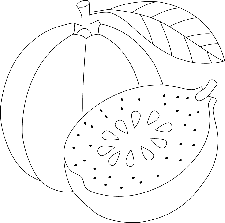 Guava Shape/color Fillable Free Guava Coloring Page – Printable PDF for Kids Activity