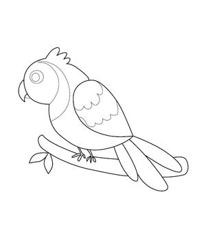 Parrot Coloring Image