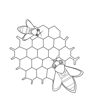Honeybee Coloring page – fun and educational printable for children