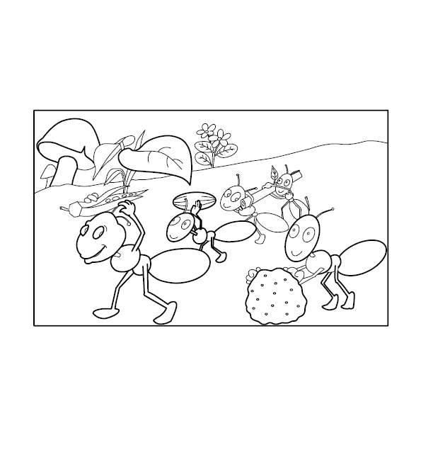 Ant Coloring Illustration