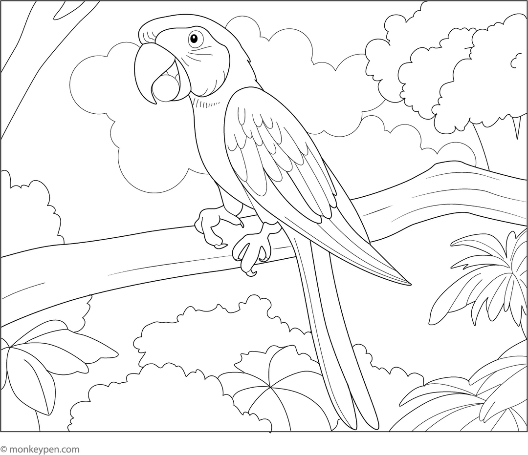 Macaw Eating Fruit Coloring Page
