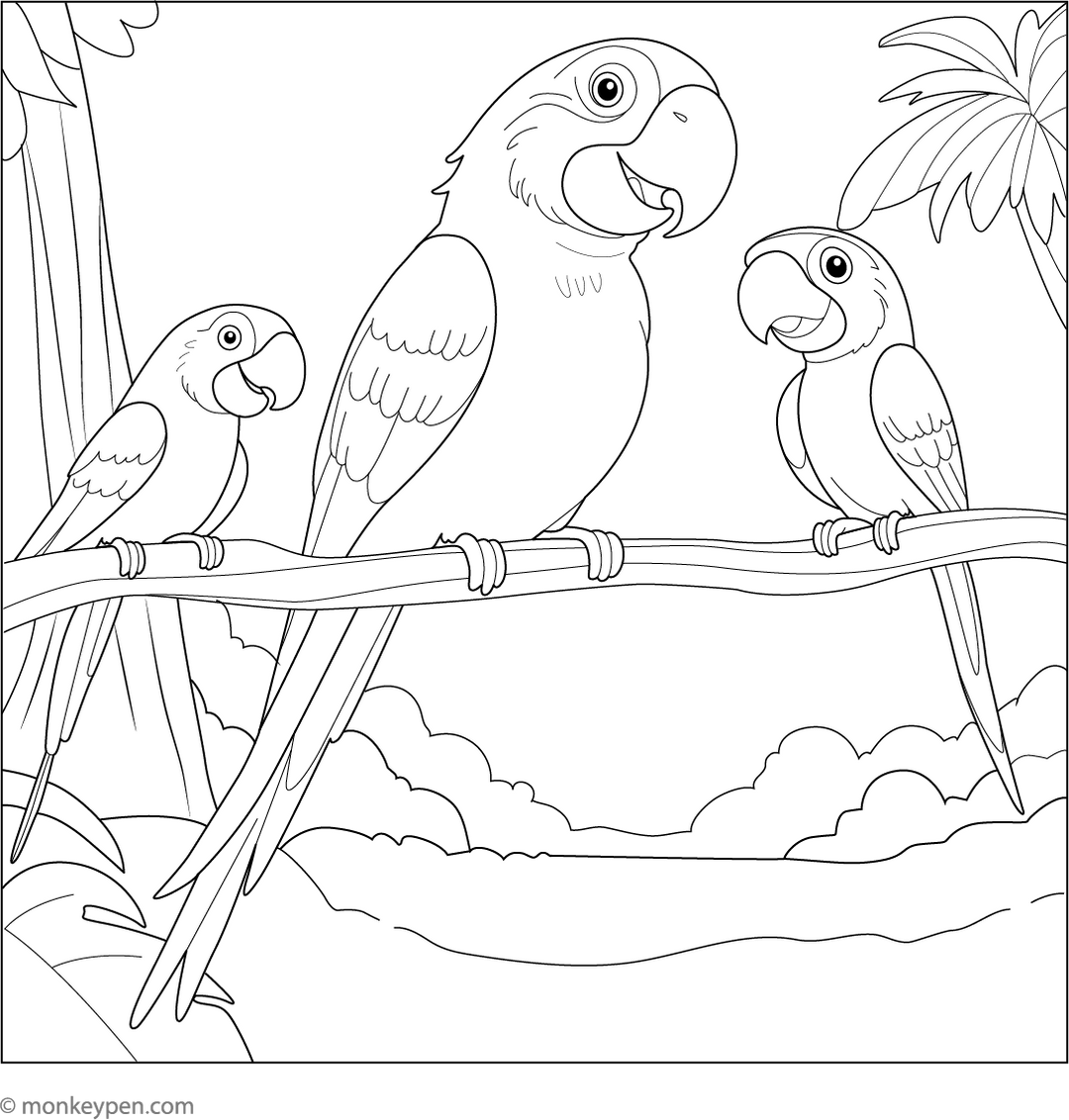 Printable Macaw Coloring Book PDF